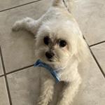 rdiep787's profile picture