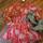 item listed by alswayalways7