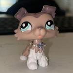 wilburscooty's profile picture