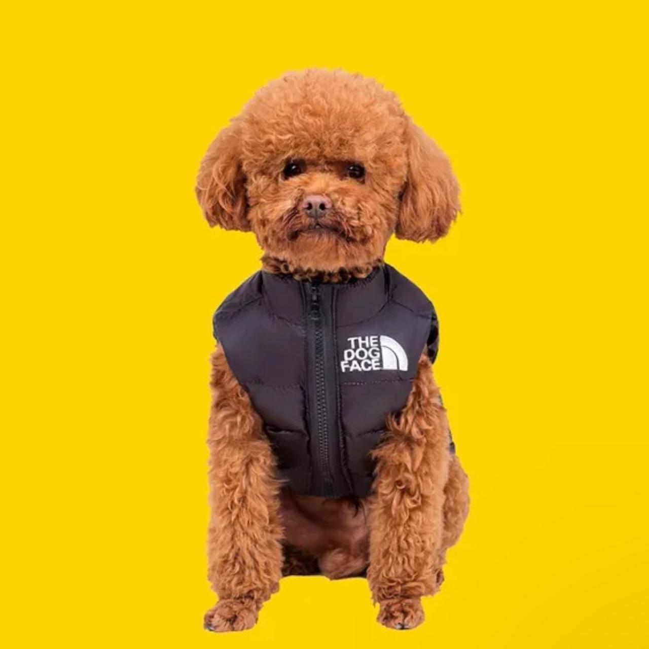 The dog face dog coat winter for dogs Depop