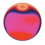 royal_freak_finds's profile picture