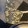 item listed by royal_freak_finds