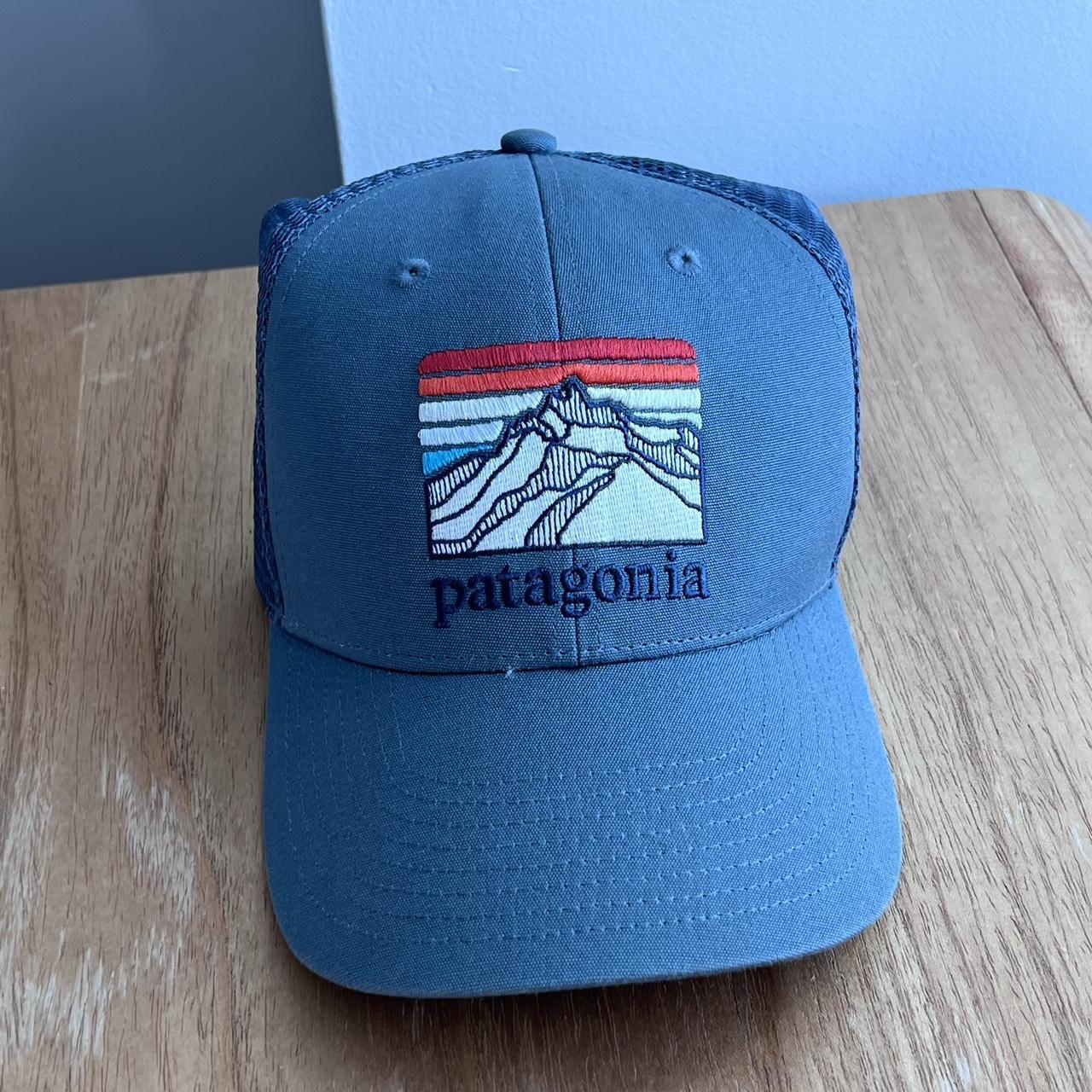 Patagonia Men's Blue Hat Depop