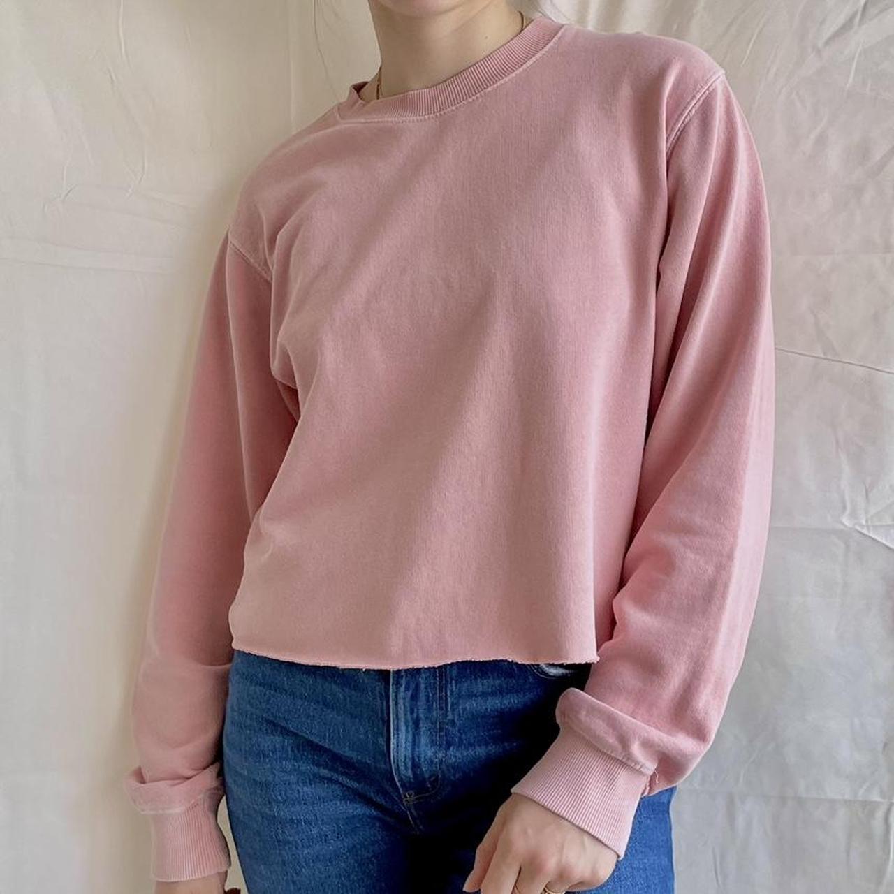 Cropped brandy melville online sweatshirt