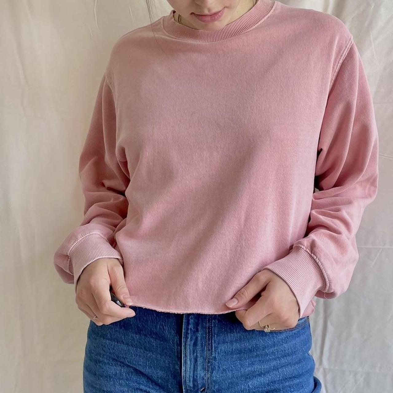 Brandy melville best sale pink sweatshirt