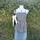 item listed by caleigh2000