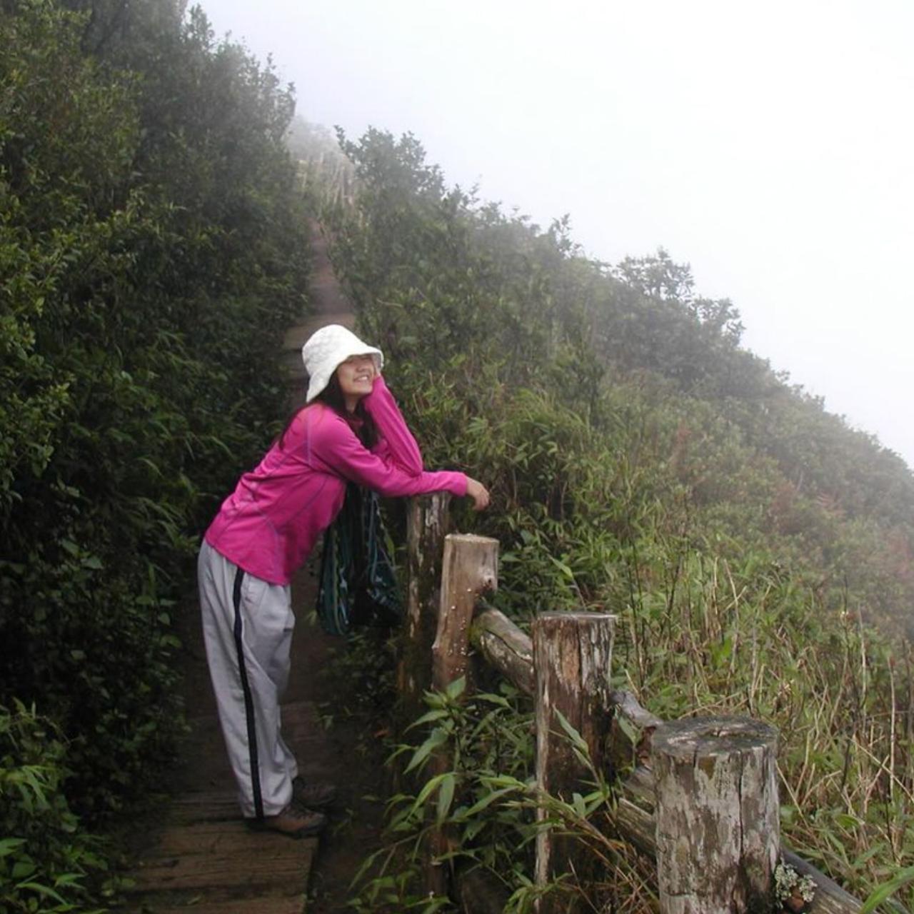 Olympus Camedia C3000 Zoom Digital Camera with AA... Depop