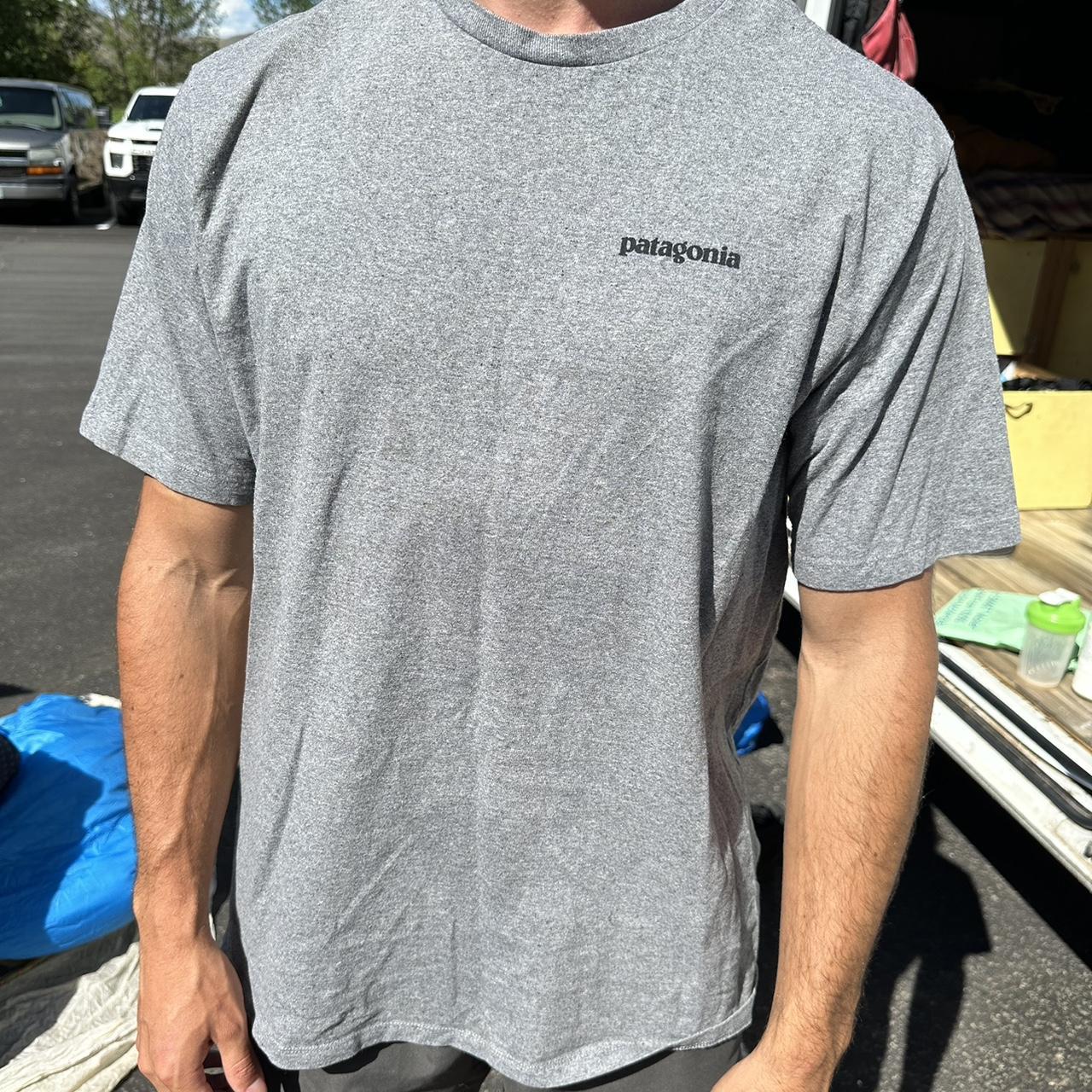 grey patagonia shirt