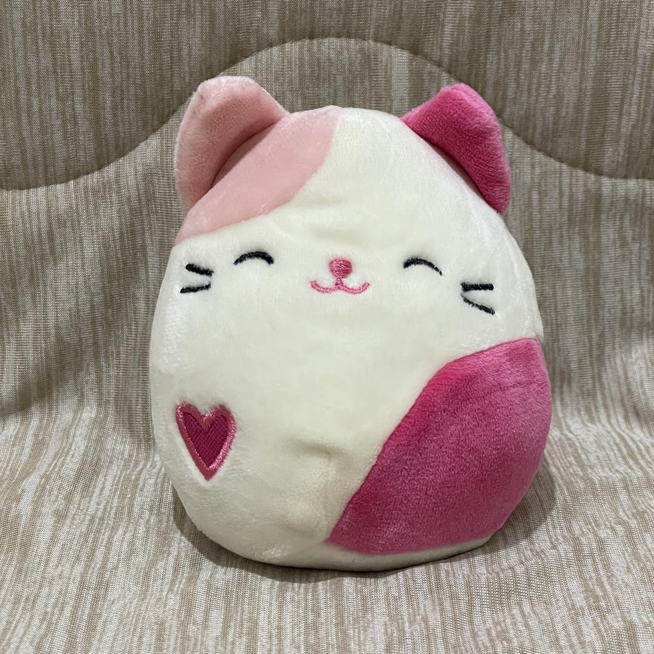 Roxy the cat offers Squishmallow 4