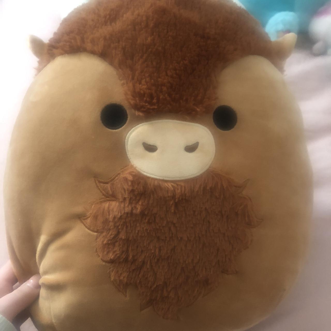 Dunkie the Bison Hugmee Squishmallow top 12” NWT