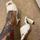 item listed by jodiemarshofficial