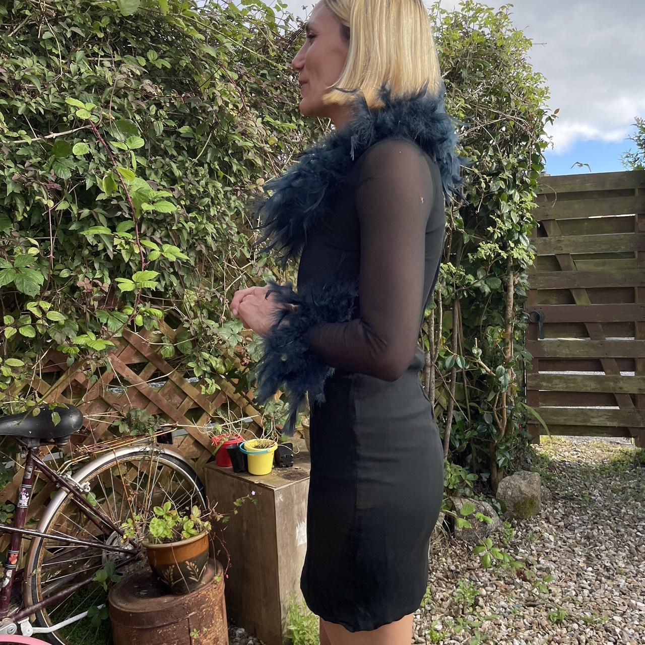 Beautiful 1960s feather bower penny lane style sheer... Depop