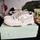 item listed by brownboyvintagee