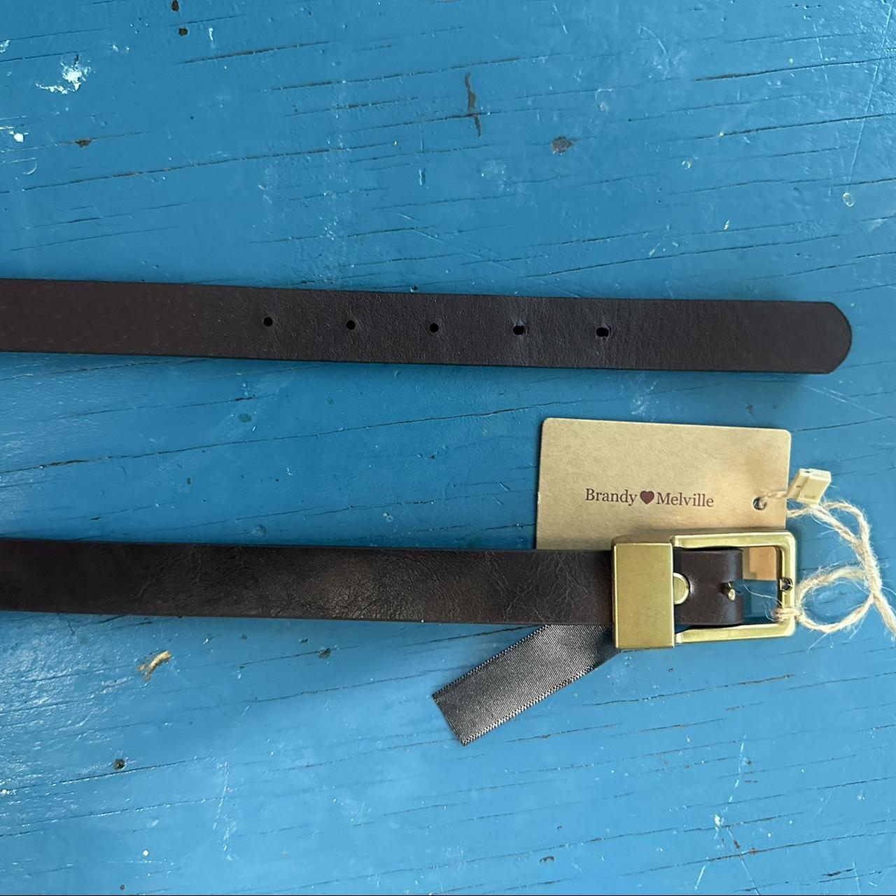 Brand new Brandy Melville belt. Nothing wrong with... Depop