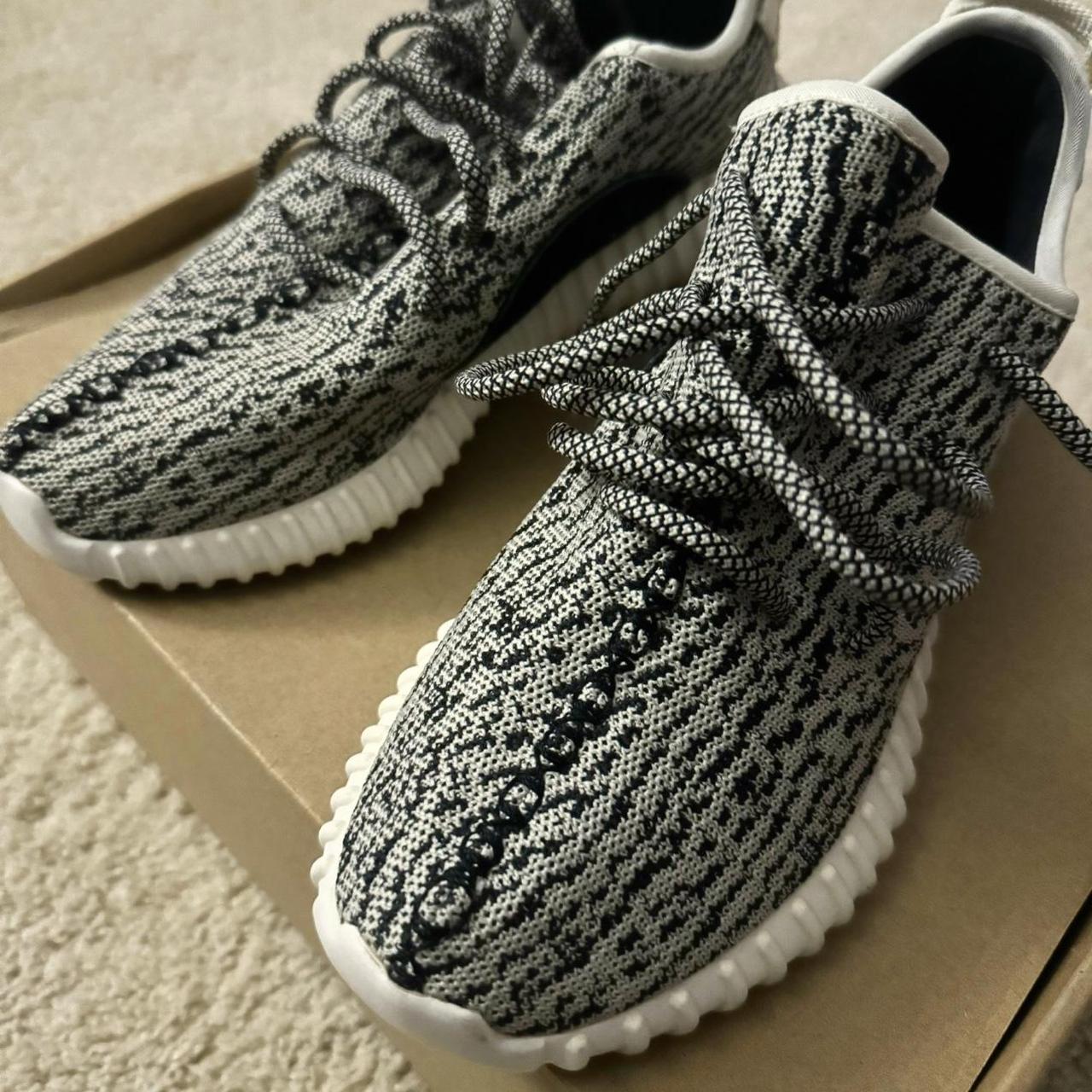 yeezy turtle dove 9.5