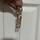 item listed by littledebsduds