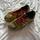 item listed by massime