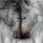 graceswurld's profile picture