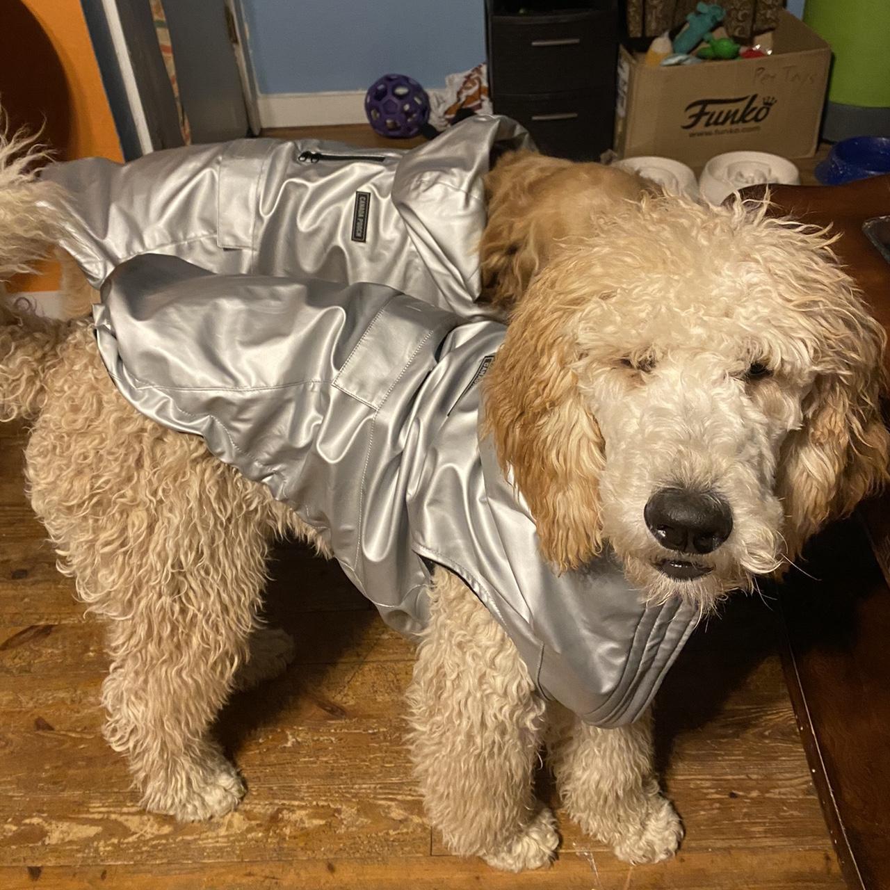 Canada pooch Cold front raincoat Only worn twice... Depop