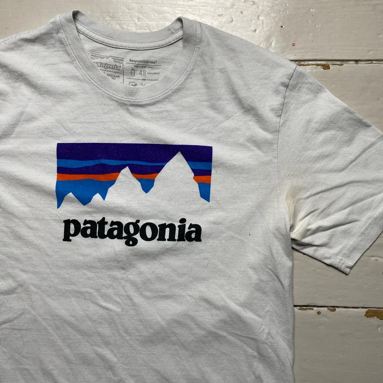 Patagonia White T Shirt 🌊 In used condition, has... - Depop