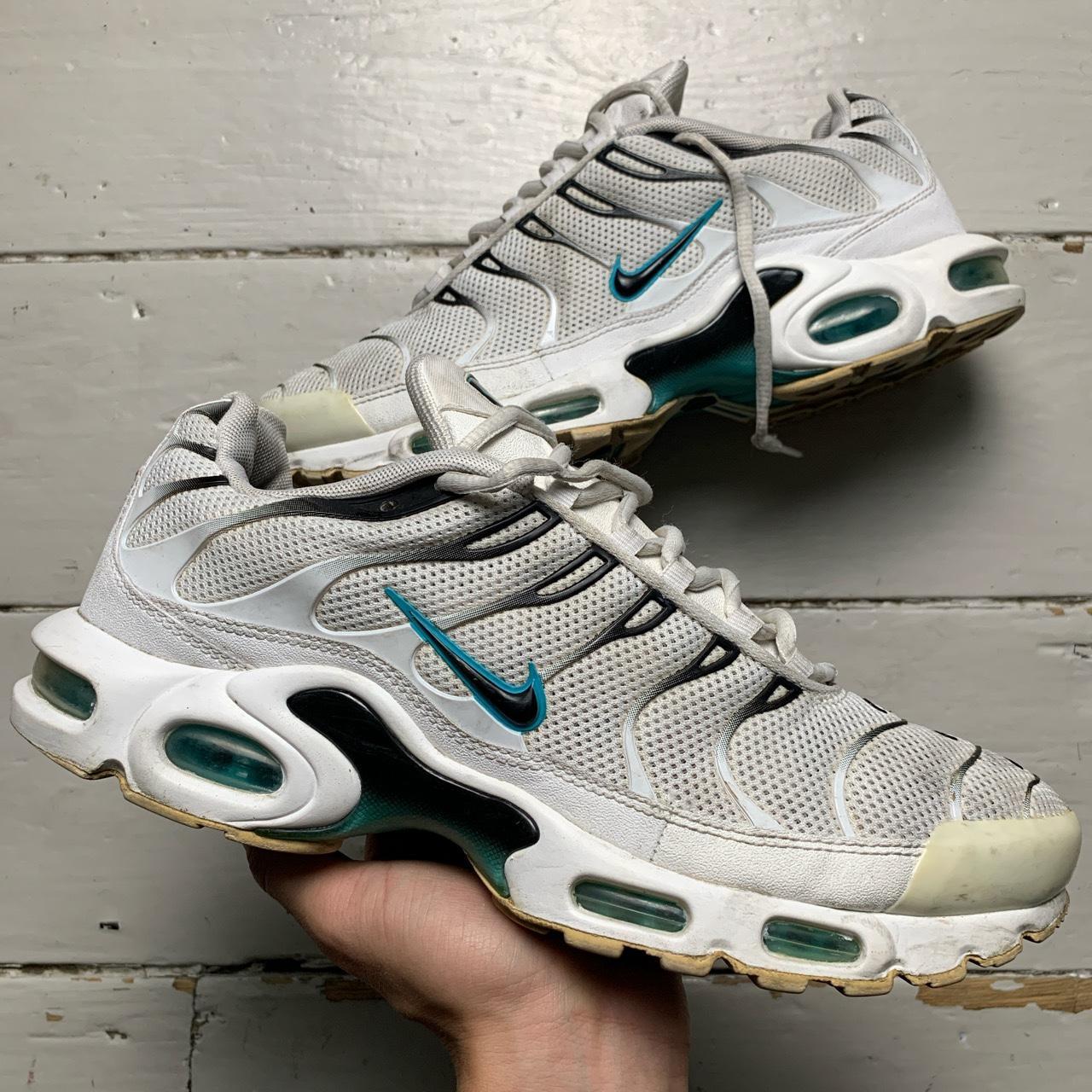 Nike TN Air Max Plus Dusty Cactus White and Blue Depop