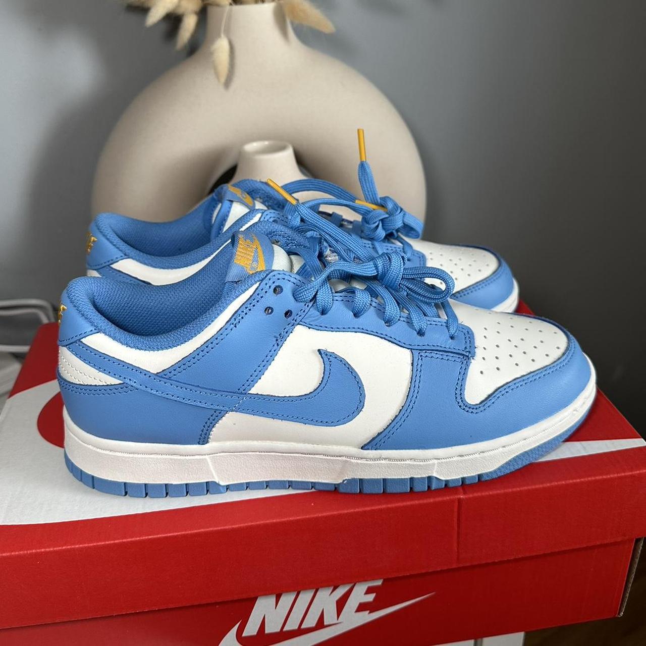 footlocker nike dunk low coast