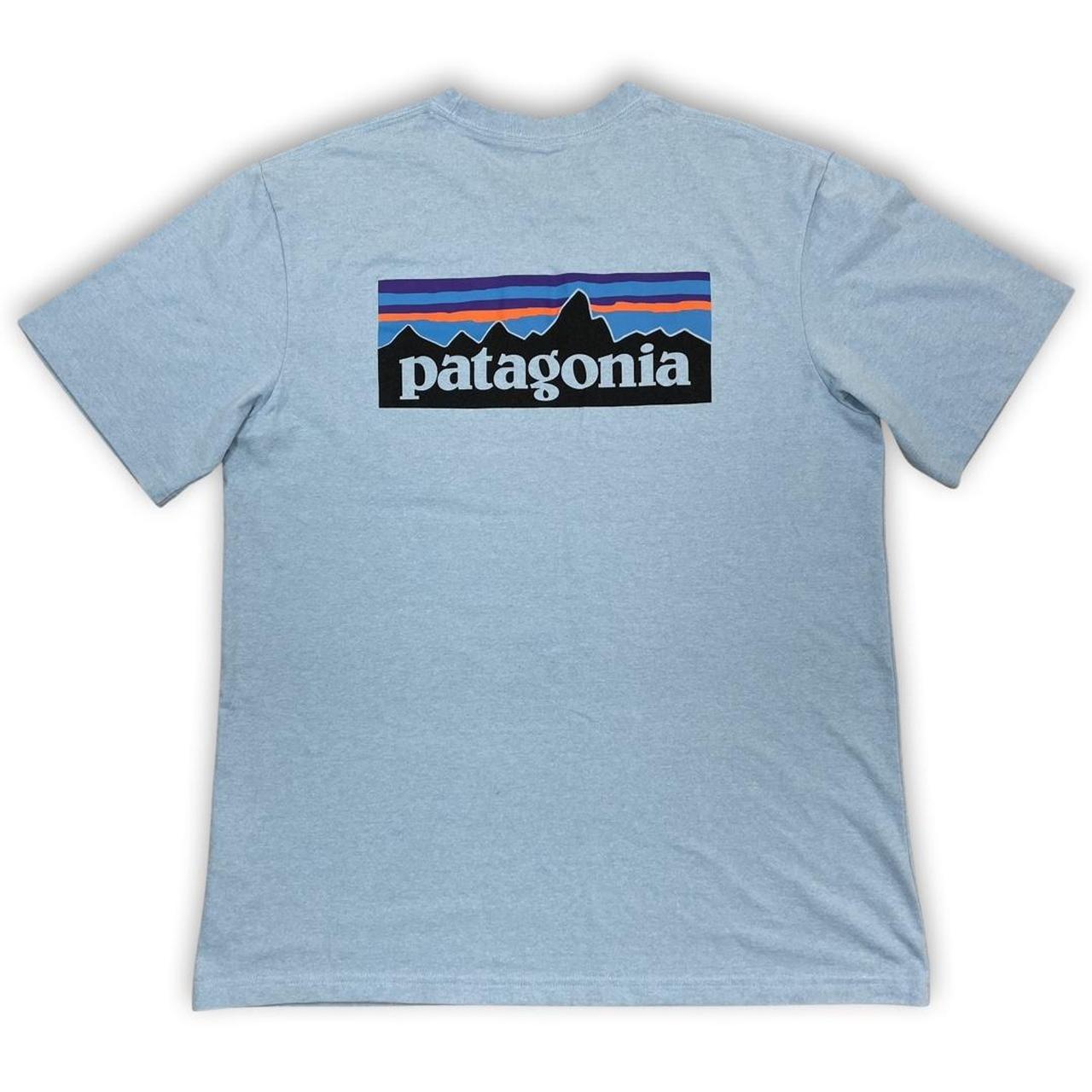 Patagonia Men's Blue T-shirt | Depop