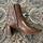 item listed by elliotscloset_
