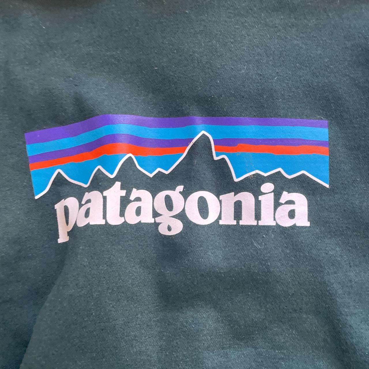 Patagonia Men's Green Hoodie | Depop