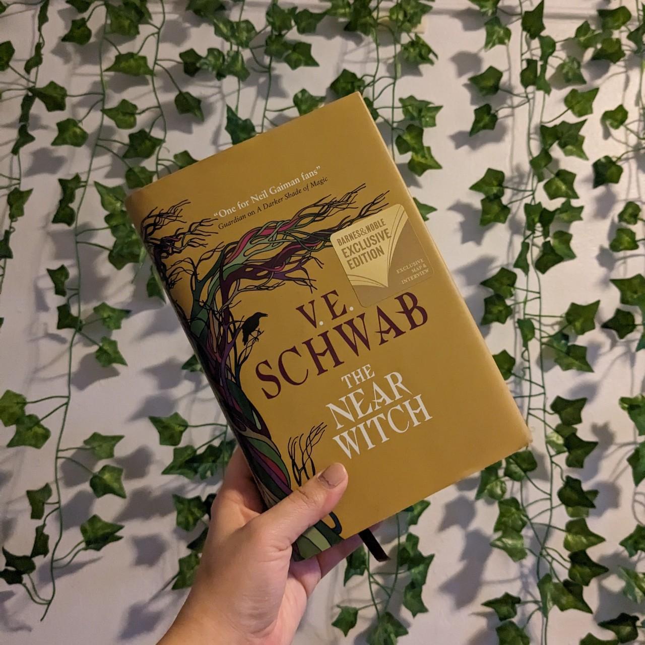 The Near Witch by VE Schwab, Barnes and Noble... - Depop