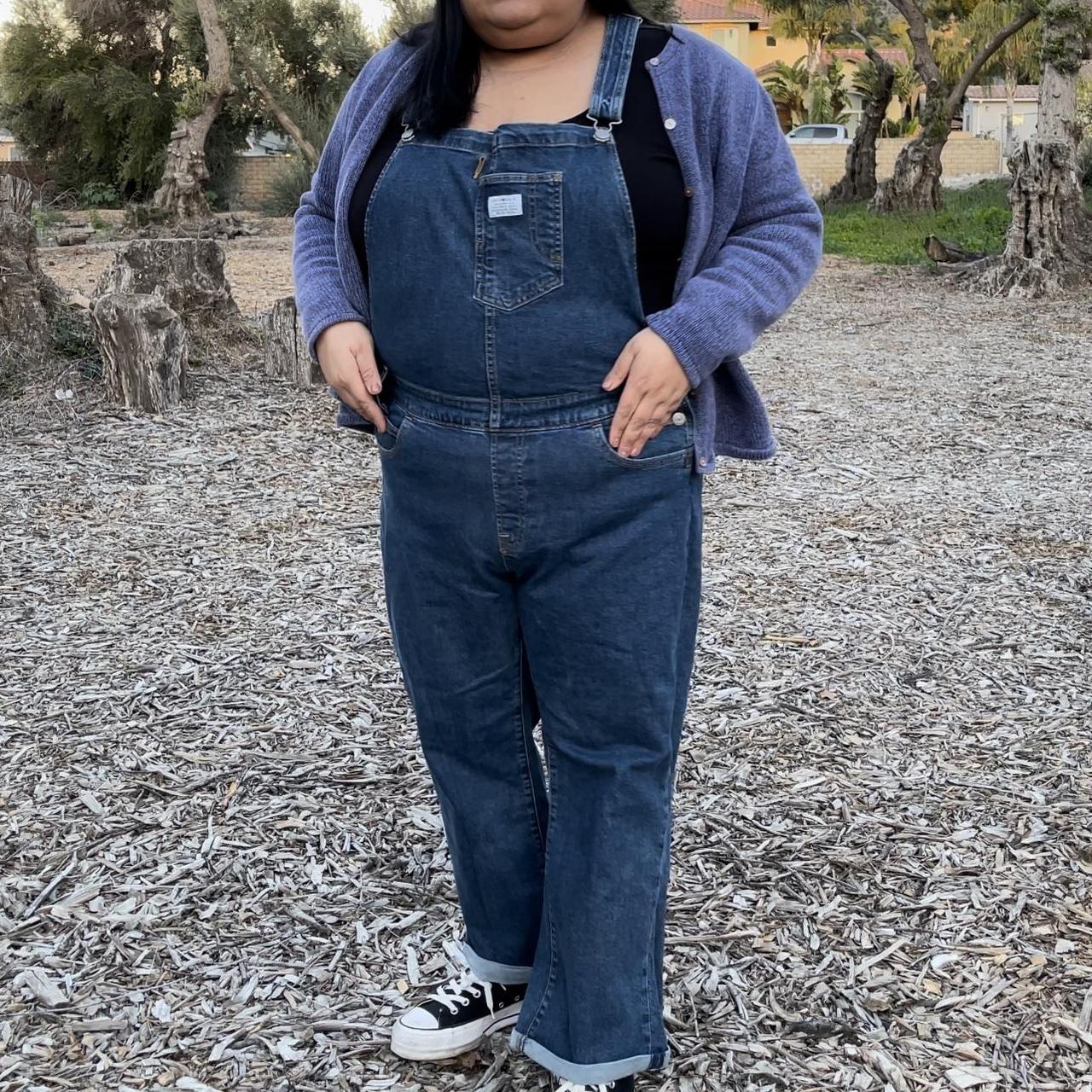 Levi s plus store overalls