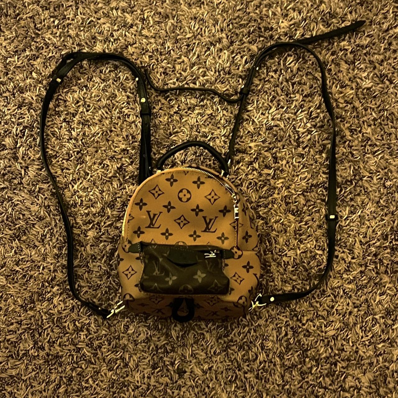 louis vuitton palm spring mini (with exposed - Depop
