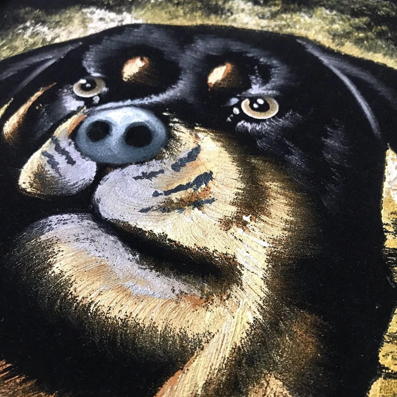 On sale Rottweiler black velvet painting