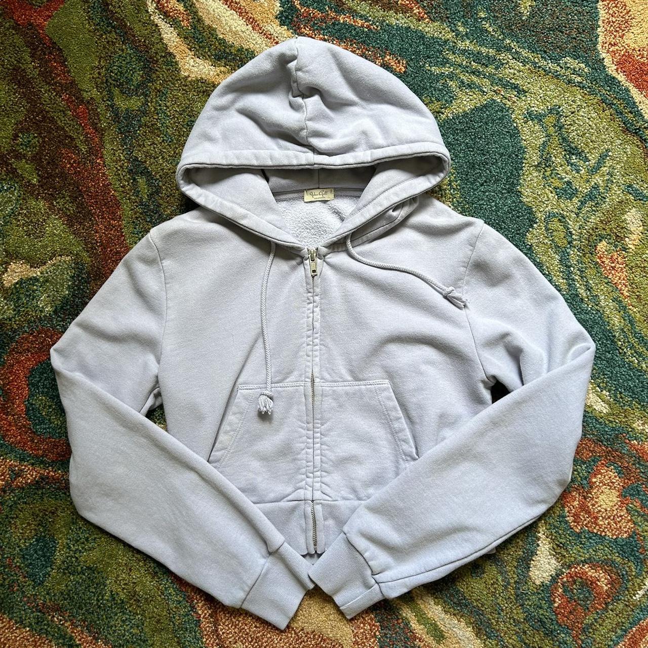 john galt / brandy melville crop top hoodie a... Depop