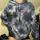 item listed by baileyhalll