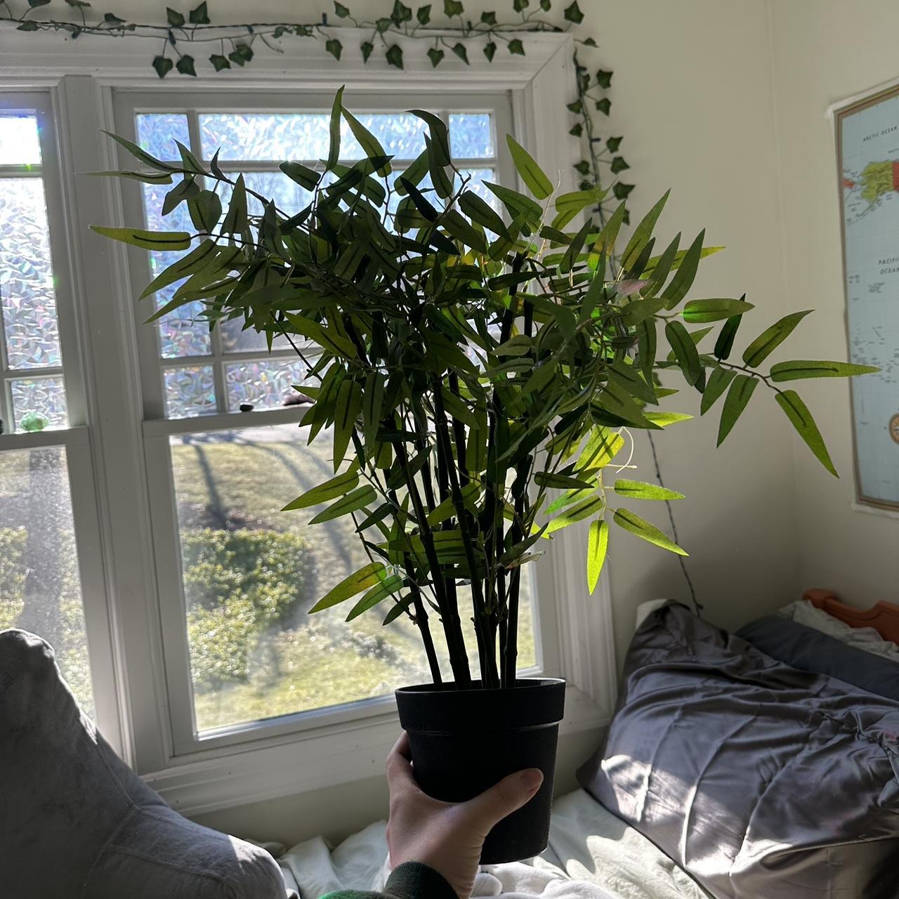 fake IKEA bamboo potted plant perfect condition,... Depop