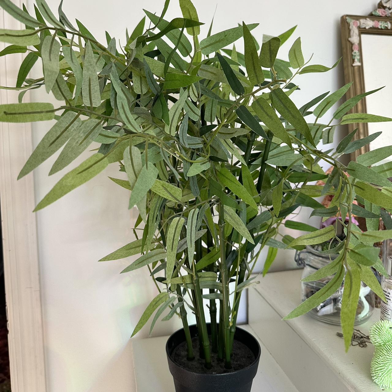 fake IKEA bamboo potted plant perfect condition,... Depop
