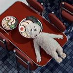 alldogsgotwoheaven's profile picture