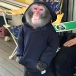nu_documents's profile picture