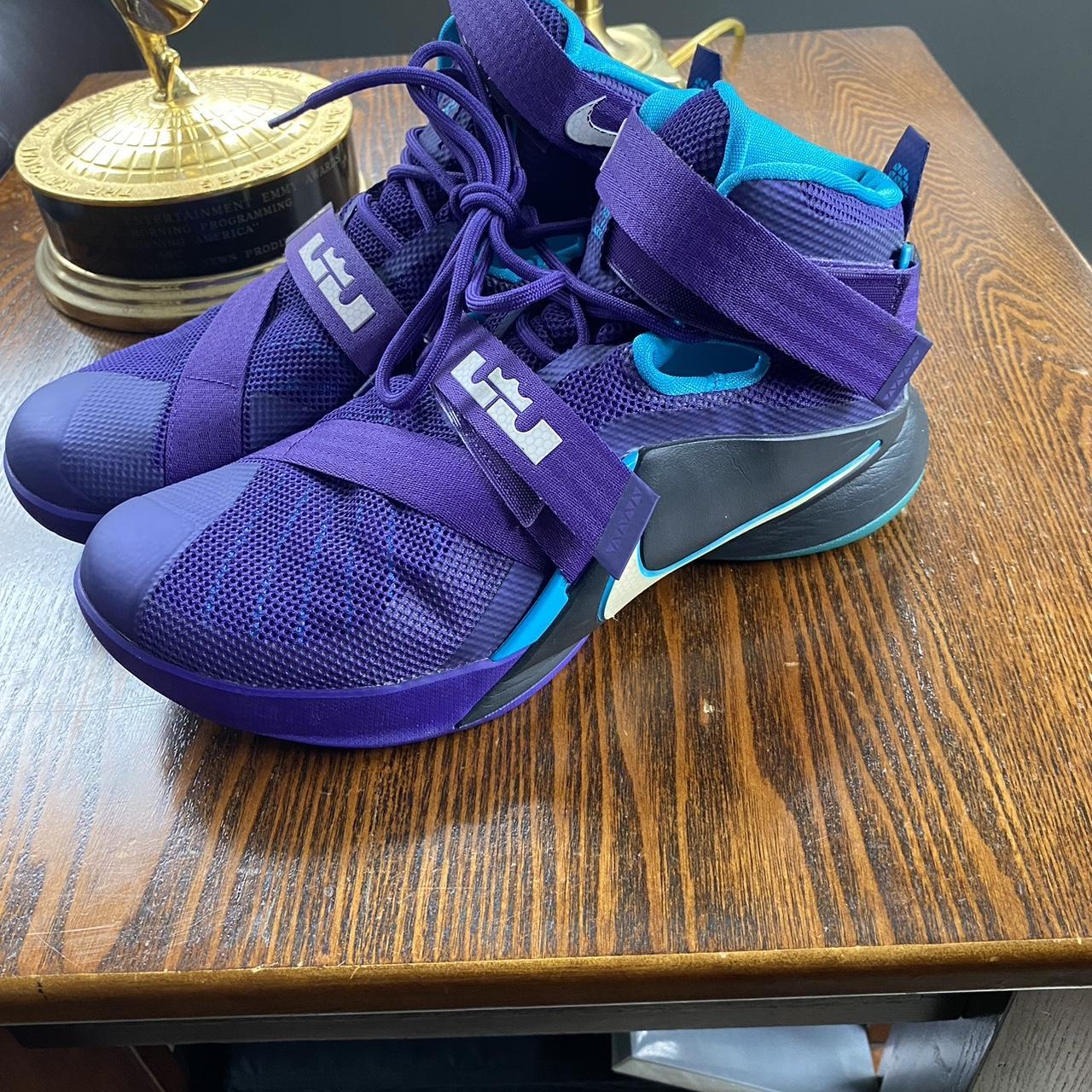 lebron james hornets shoes
