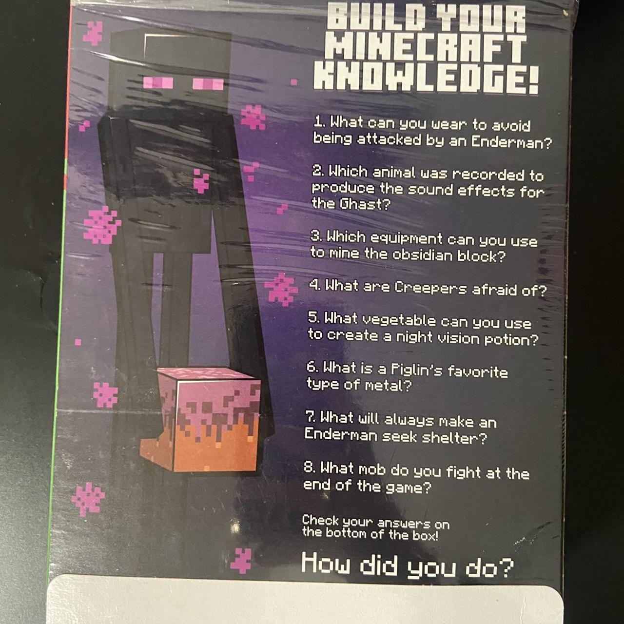 Dsmp Minecraft streamer YouTuber ranboo SIGNED cheez... Depop