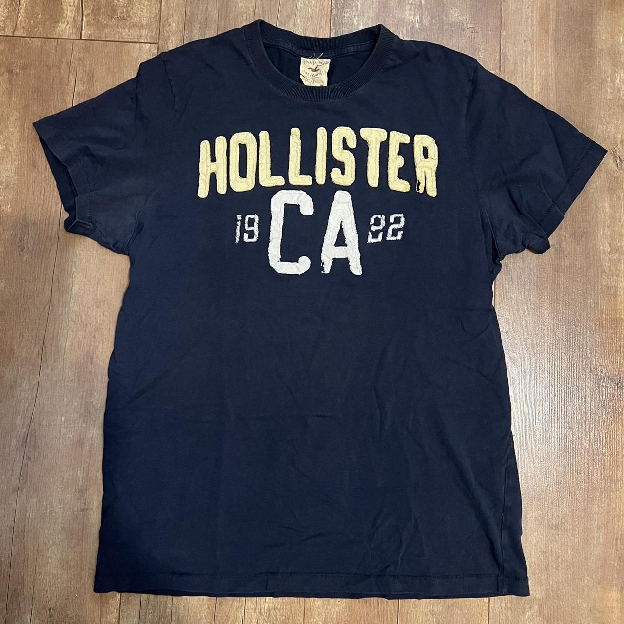 Hollister mens t shirts sale online