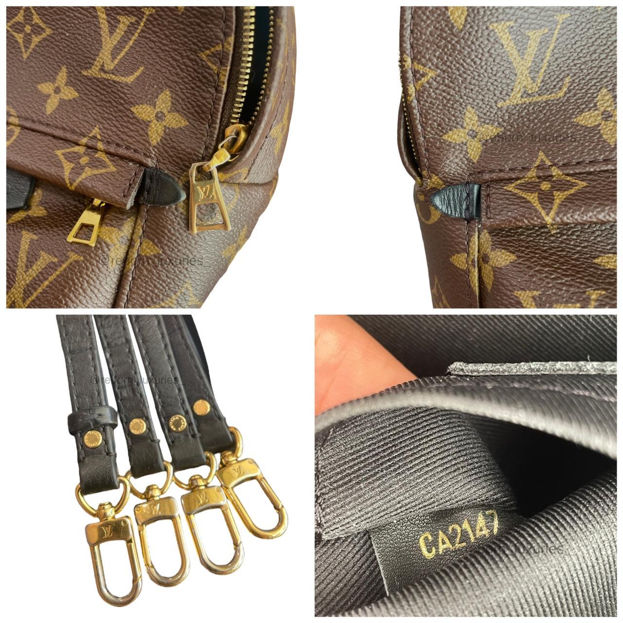 Louis Vuitton Palm Springs Mini Backpack ✓ 100% - Depop
