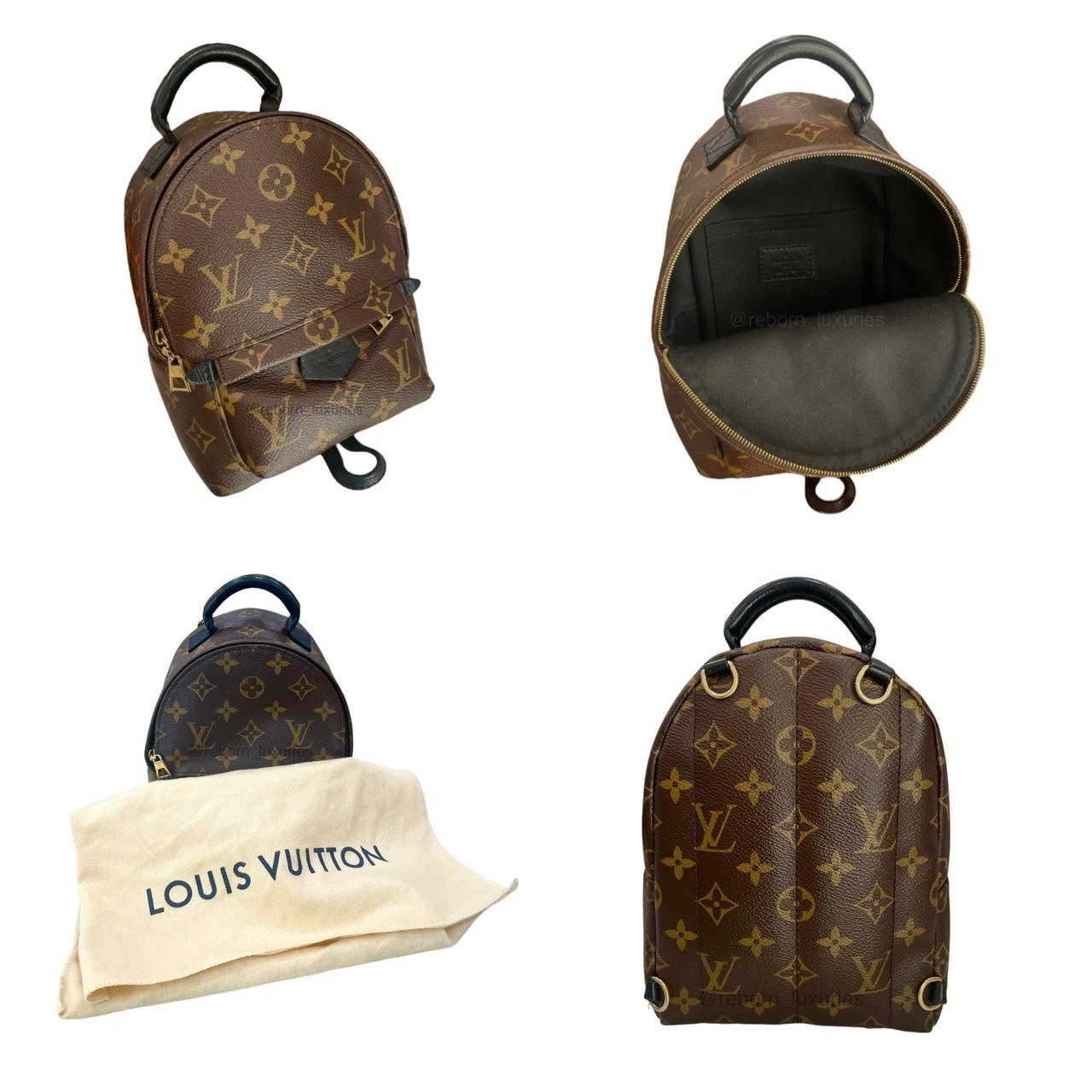Palm Springs Mini Backpack Authentic Louis Vuitton - Depop