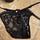item listed by danielletroppd