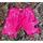 item listed by drolabshop