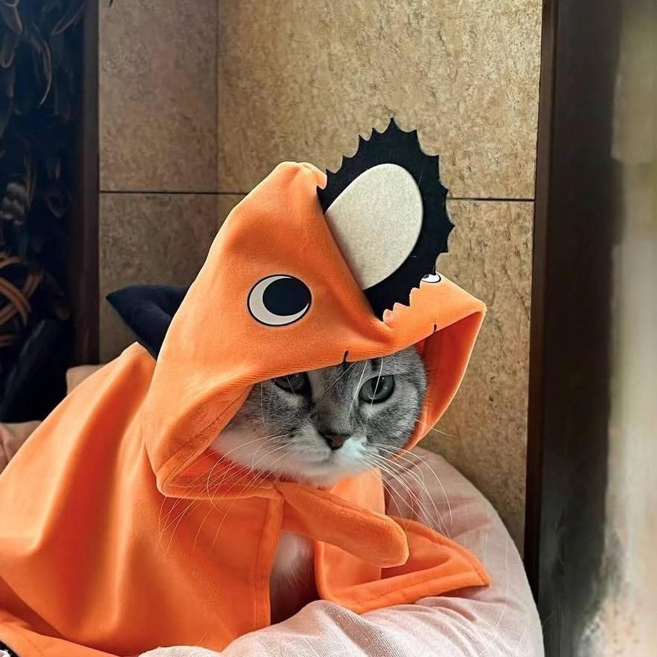 Pochita Chainsaw Man Cat Blanket Costume Anime Manga... Depop