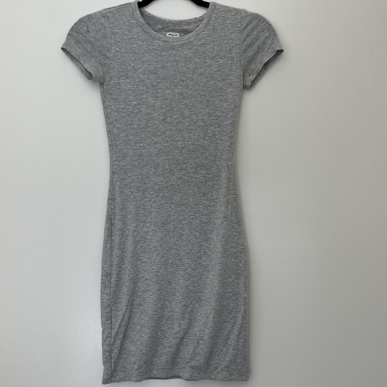 Aritzia shops t shirt dress