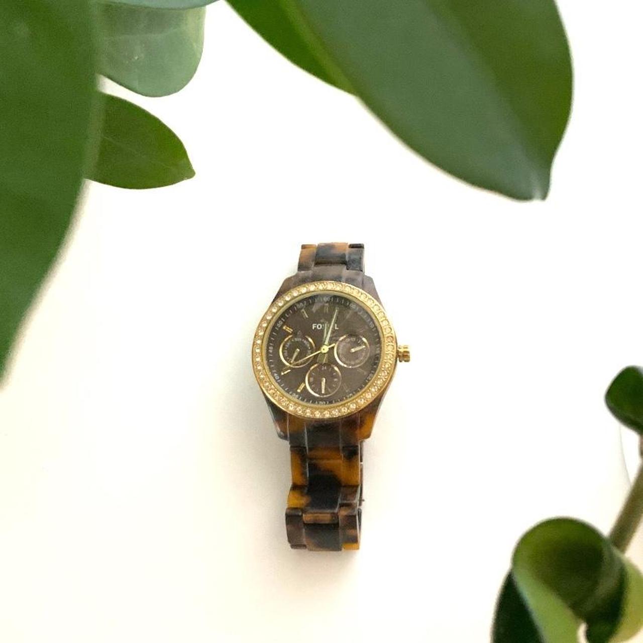 Fossil Tortoise 2024 Watch