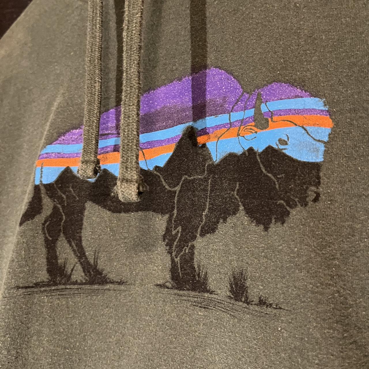 Patagonia fitz roy online bison hoodie